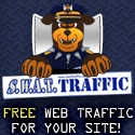 swat traffic